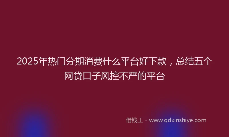 2025年热门分期消费什么平台好下款，总结五个网贷口子风控不严的平台