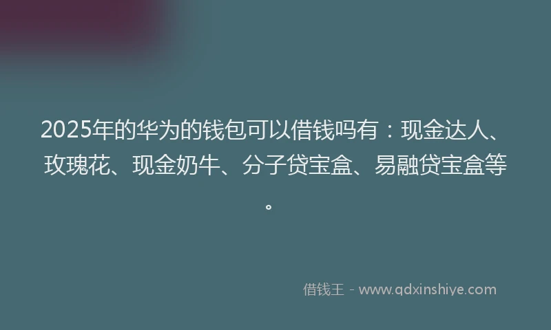 2025年的华为的钱包可以借钱吗有:现金达人、玫瑰花、现金奶牛、分子贷宝盒、易融贷宝盒等。