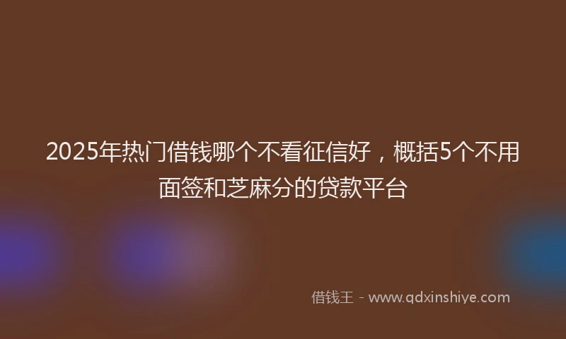 2025年热门借钱哪个不看征信好，概括5个不用面签和芝麻分的贷款平台
