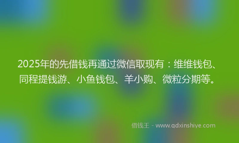 2025年的先借钱再通过微信取现有：维维钱包、同程提钱游、小鱼钱包、羊小购、微粒分期等。