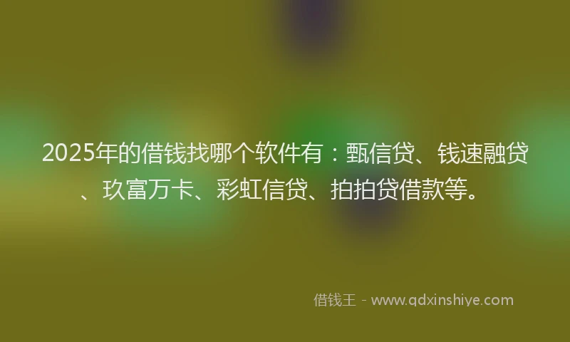 2025年的借钱找哪个软件有：甄信贷、钱速融贷、玖富万卡、彩虹信贷、拍拍贷借款等。