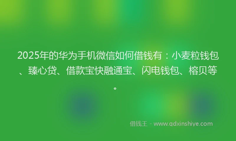 2025年的华为手机微信如何借钱有：小麦粒钱包、臻心贷、借款宝快融通宝、闪电钱包、榕贝等。