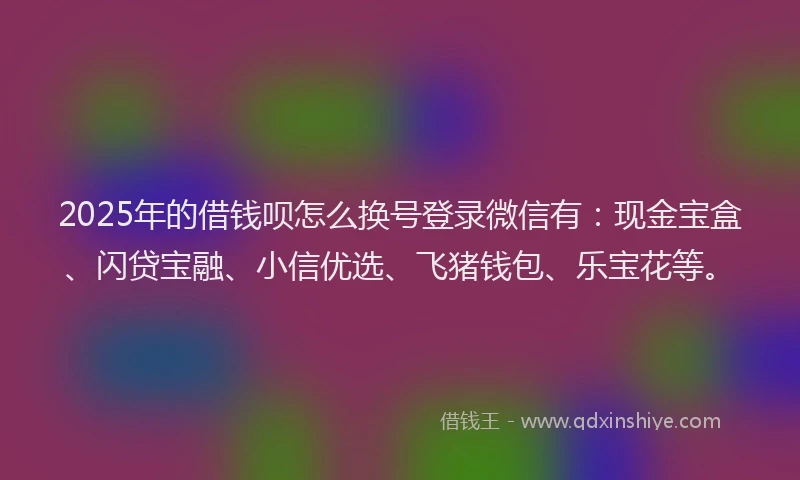 2025年的借钱呗怎么换号登录微信有：现金宝盒、闪贷宝融、小信优选、飞猪钱包、乐宝花等。