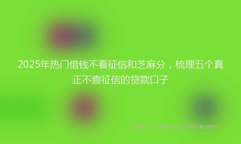 2025年热门借钱不看征信和芝麻分，梳理五个真正不查征信的贷款口子