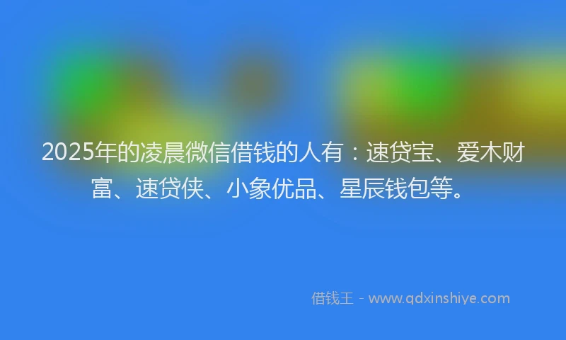 2025年的凌晨微信借钱的人有：速贷宝、爱木财富、速贷侠、小象优品、星辰钱包等。