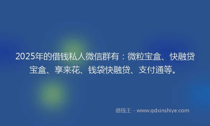 2025年的借钱私人微信群有：微粒宝盒、快融贷宝盒、享来花、钱袋快融贷、支付通等。