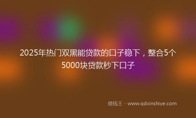 2025年热门双黑能贷款的口子稳下，整合5个5000块贷款秒下口子