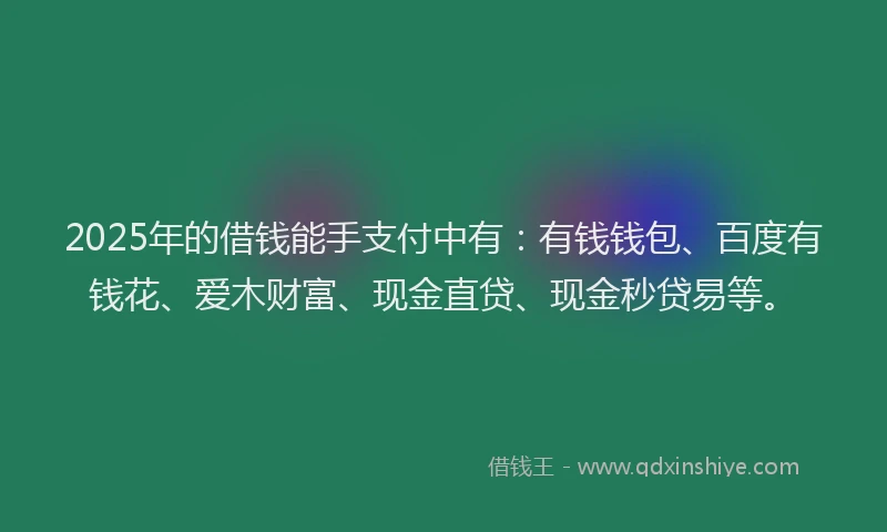 2025年的借钱能手支付中有：有钱钱包、百度有钱花、爱木财富、现金直贷、现金秒贷易等。
