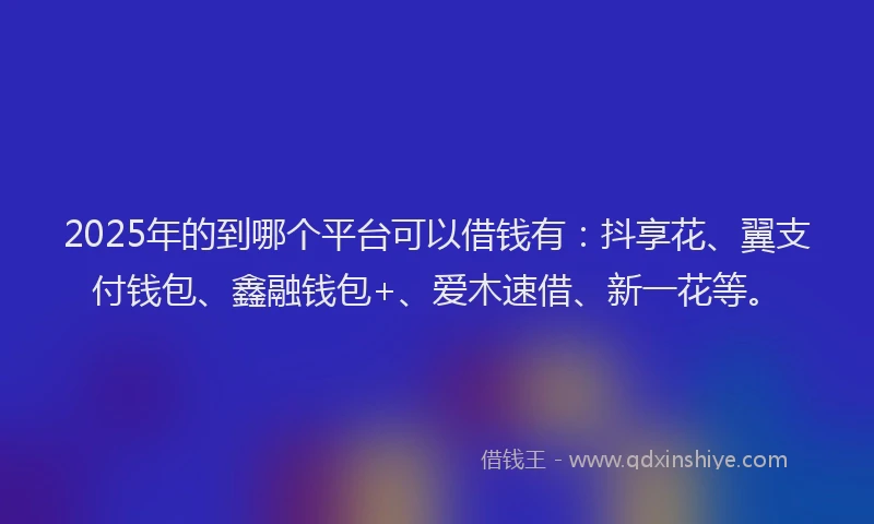 2025年的到哪个平台可以借钱有：抖享花、翼支付钱包、鑫融钱包+、爱木速借、新一花等。