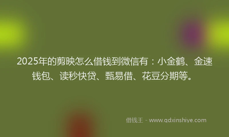 2025年的剪映怎么借钱到微信有：小金鹤、金速钱包、读秒快贷、甄易借、花豆分期等。