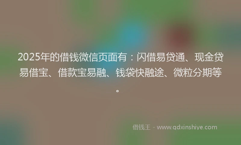 2025年的借钱微信页面有：闪借易贷通、现金贷易借宝、借款宝易融、钱袋快融途、微粒分期等。