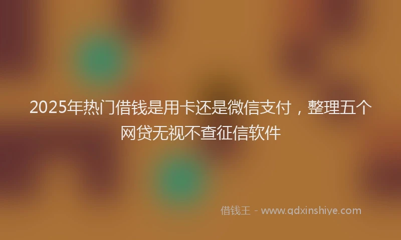 2025年热门借钱是用卡还是微信支付，整理五个网贷无视不查征信软件