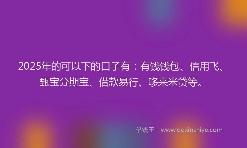 2025年的可以下的口子有：有钱钱包、信用飞、甄宝分期宝、借款易行、哆来米贷等。