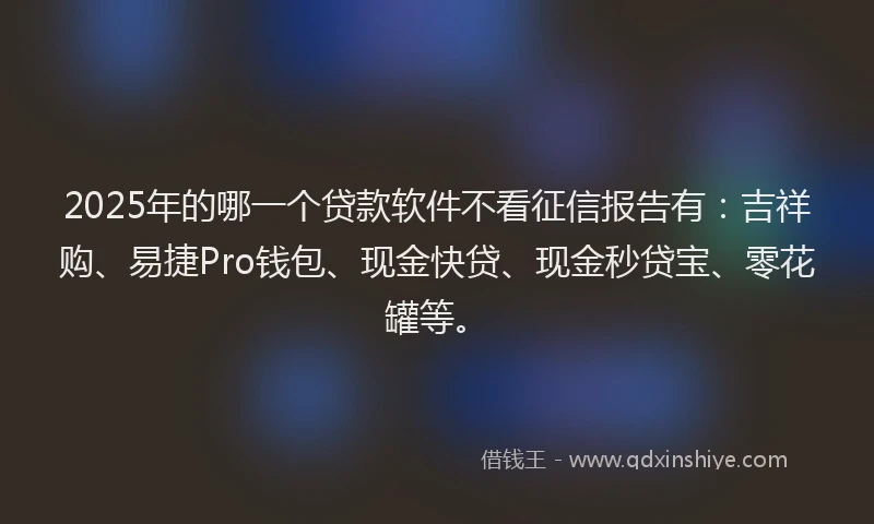 2025年的哪一个贷款软件不看征信报告有：吉祥购、易捷Pro钱包、现金快贷、现金秒贷宝、零花罐等。