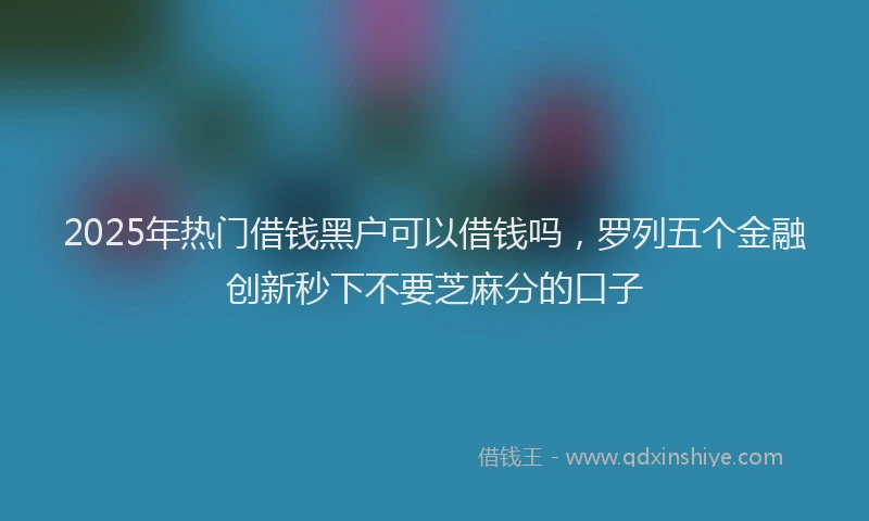 2025年热门借钱黑户可以借钱吗，罗列五个金融创新秒下不要芝麻分的口子