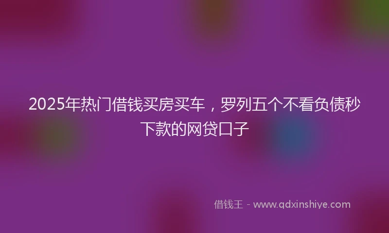 2025年热门借钱买房买车，罗列五个不看负债秒下款的网贷口子
