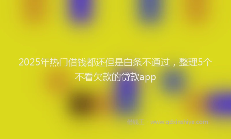 2025年热门借钱都还但是白条不通过，整理5个不看欠款的贷款app