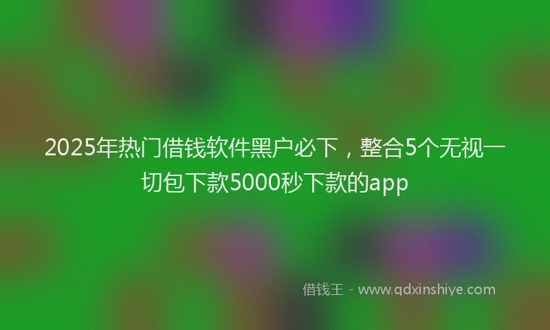 2025年热门借钱软件黑户必下，整合5个无视一切包下款5000秒下款的app