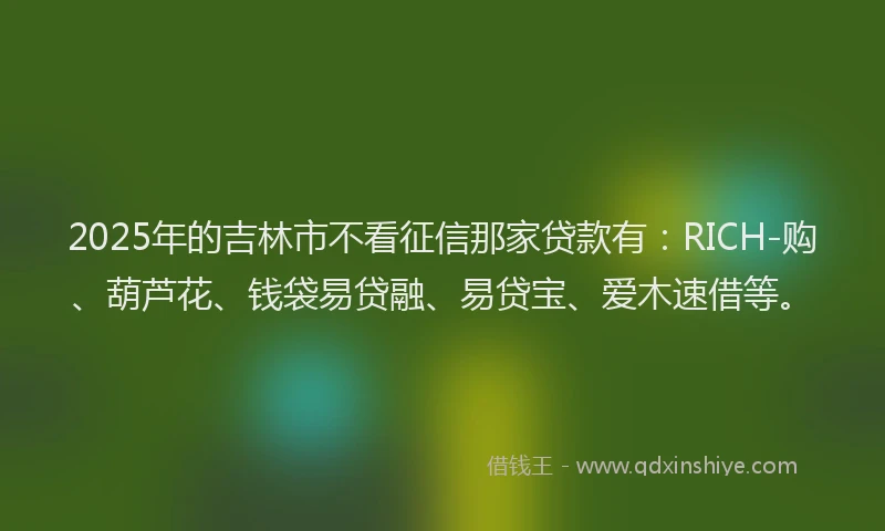 2025年的吉林市不看征信那家贷款有：RICH-购、葫芦花、钱袋易贷融、易贷宝、爱木速借等。