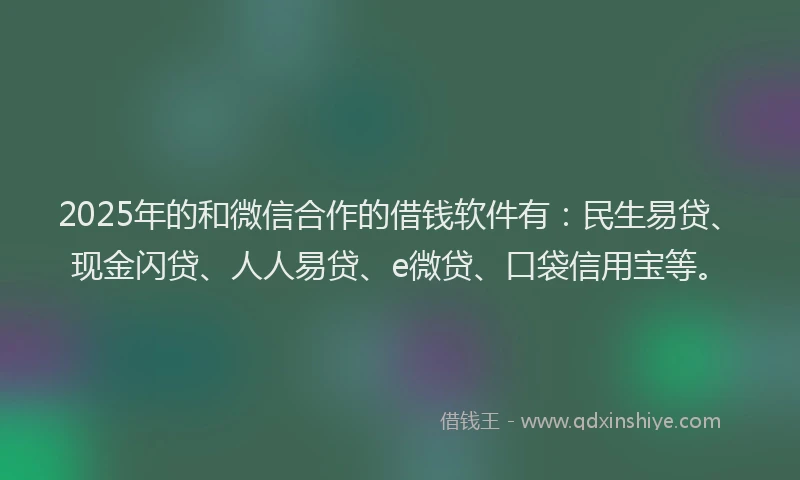 2025年的和微信合作的借钱软件有：民生易贷、现金闪贷、人人易贷、e微贷、口袋信用宝等。