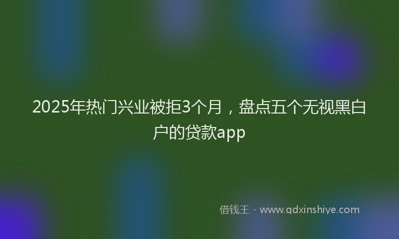 2025年热门兴业被拒3个月，盘点五个无视黑白户的贷款app