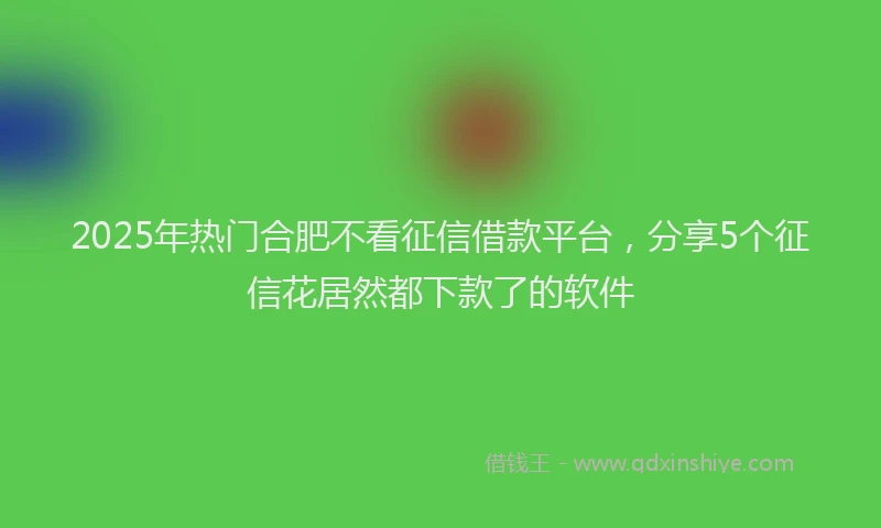 2025年热门合肥不看征信借款平台，分享5个征信花居然都下款了的软件