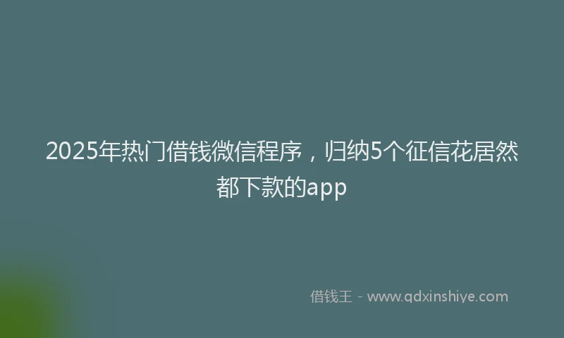 2025年热门借钱微信程序，归纳5个征信花居然都下款的app