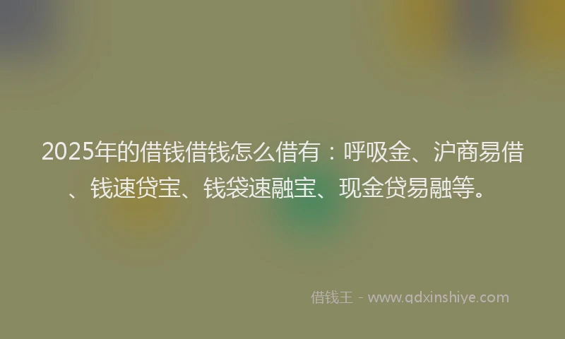2025年的借钱借钱怎么借有：呼吸金、沪商易借、钱速贷宝、钱袋速融宝、现金贷易融等。