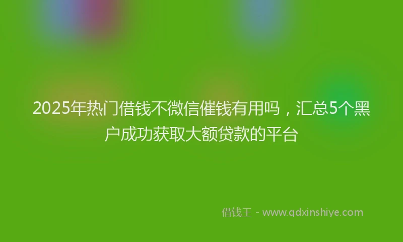 2025年热门借钱不微信催钱有用吗，汇总5个黑户成功获取大额贷款的平台