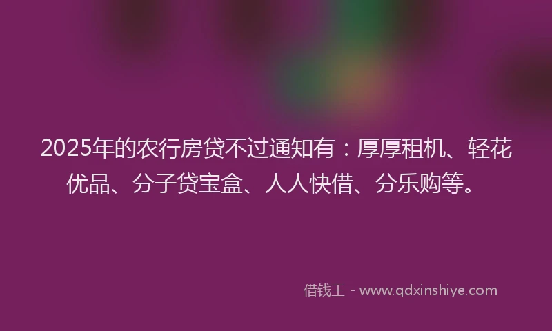 2025年的农行房贷不过通知有：厚厚租机、轻花优品、分子贷宝盒、人人快借、分乐购等。