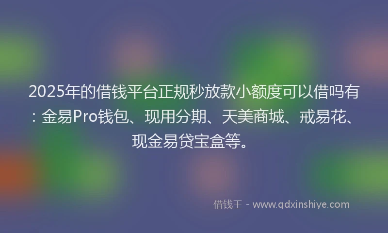 2025年的借钱平台正规秒放款小额度可以借吗有：金易Pro钱包、现用分期、天美商城、戒易花、现金易贷宝盒等。