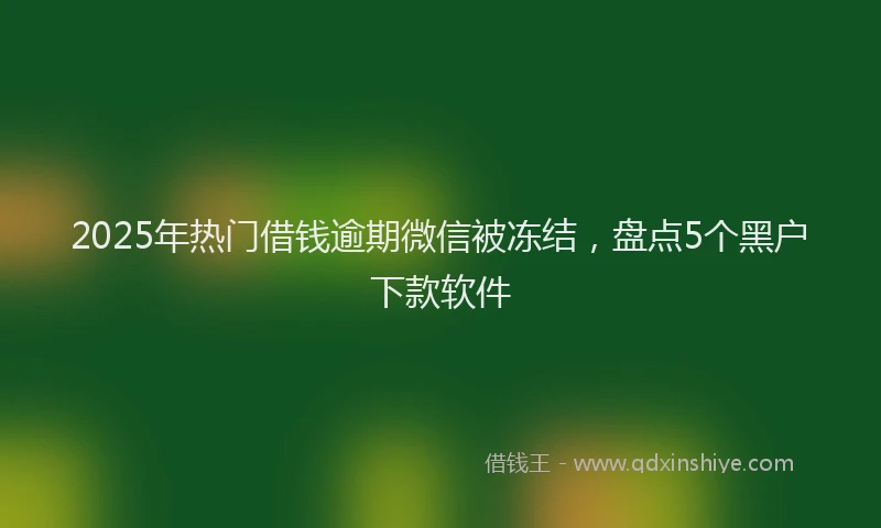2025年热门借钱逾期微信被冻结，盘点5个黑户下款软件
