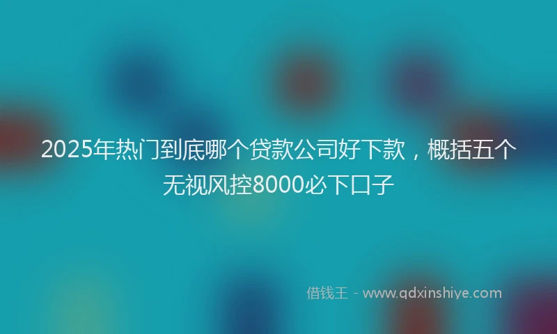 2025年热门到底哪个贷款公司好下款，概括五个无视风控8000必下口子