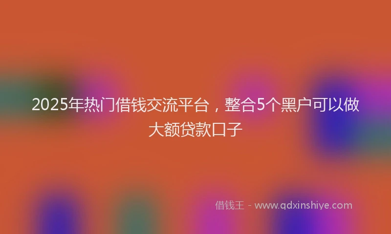 2025年热门借钱交流平台，整合5个黑户可以做大额贷款口子