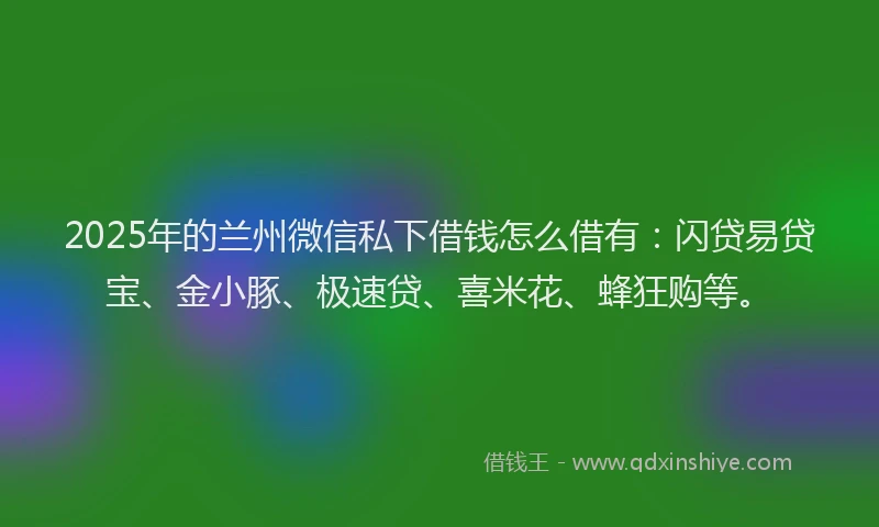 2025年的兰州微信私下借钱怎么借有：闪贷易贷宝、金小豚、极速贷、喜米花、蜂狂购等。