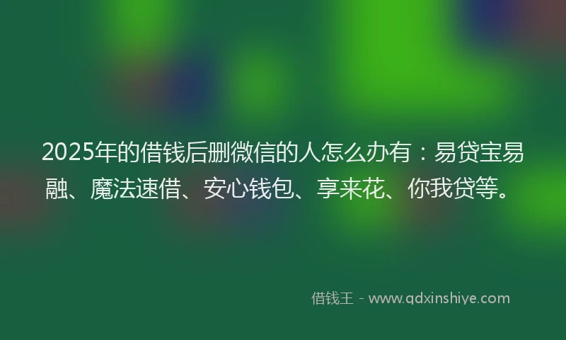 2025年的借钱后删微信的人怎么办有：易贷宝易融、魔法速借、安心钱包、享来花、你我贷等。