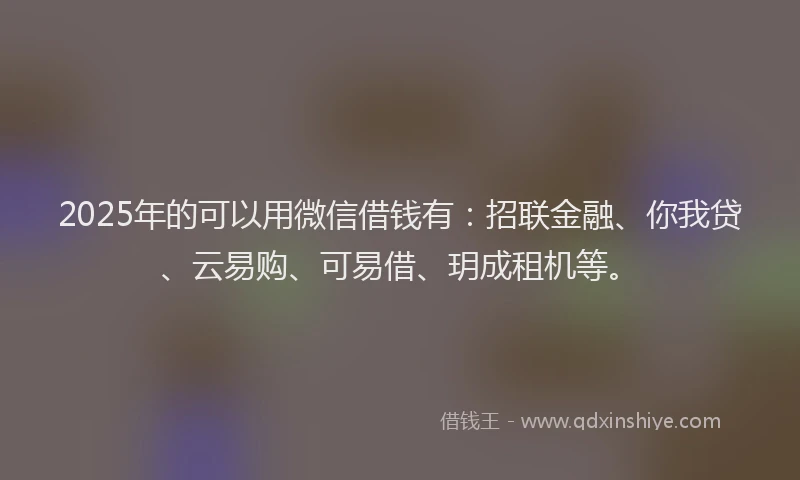 2025年的可以用微信借钱有：招联金融、你我贷、云易购、可易借、玥成租机等。