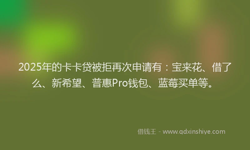 2025年的卡卡贷被拒再次申请有：宝来花、借了么、新希望、普惠Pro钱包、蓝莓买单等。
