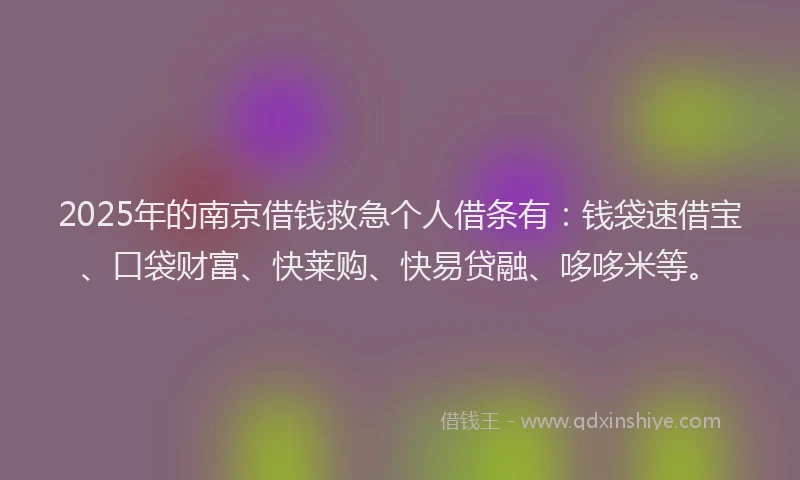 2025年的南京借钱救急个人借条有：钱袋速借宝、口袋财富、快莱购、快易贷融、哆哆米等。