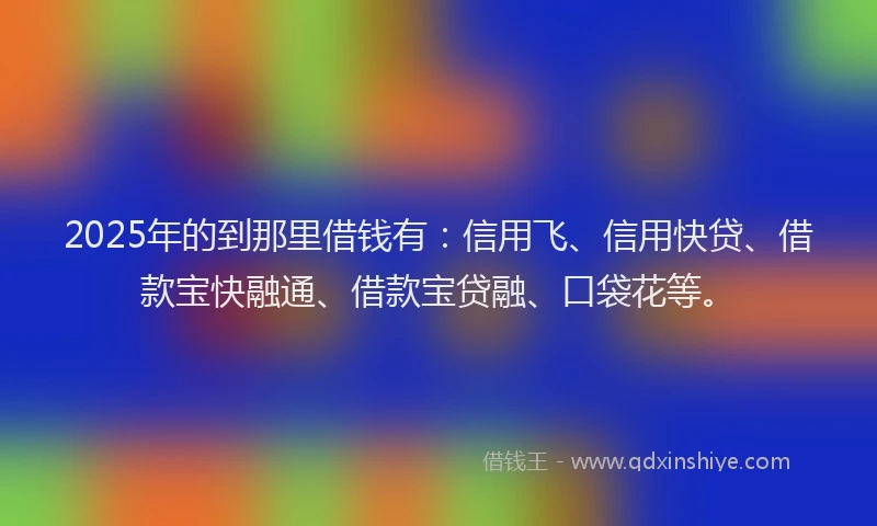 2025年的到那里借钱有：信用飞、信用快贷、借款宝快融通、借款宝贷融、口袋花等。