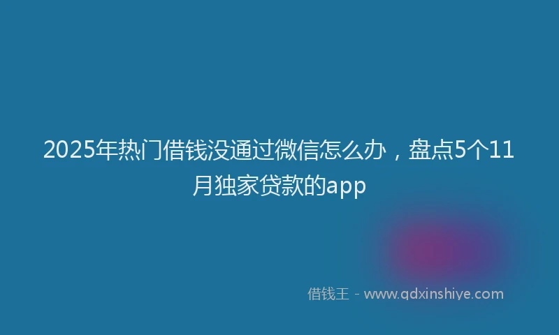 2025年热门借钱没通过微信怎么办，盘点5个11月独家贷款的app