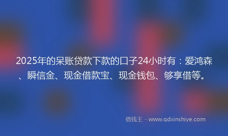 2025年的呆账贷款下款的口子24小时有：爱鸿森、瞬信金、现金借款宝、现金钱包、够享借等。