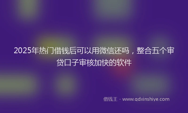2025年热门借钱后可以用微信还吗，整合五个审贷口子审核加快的软件