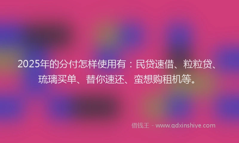 2025年的分付怎样使用有：民贷速借、粒粒贷、琉璃买单、替你速还、蛮想购租机等。