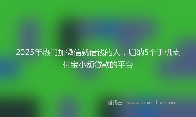 2025年热门加微信就借钱的人，归纳5个手机支付宝小额贷款的平台