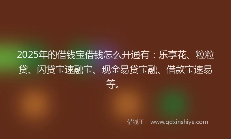 2025年的借钱宝借钱怎么开通有：乐享花、粒粒贷、闪贷宝速融宝、现金易贷宝融、借款宝速易等。