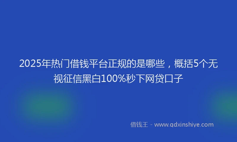 2025年热门借钱平台正规的是哪些，概括5个无视征信黑白100%秒下网贷口子