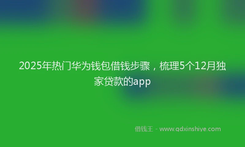 2025年热门华为钱包借钱步骤，梳理5个12月独家贷款的app