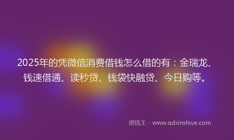2025年的凭微信消费借钱怎么借的有：金瑞龙、钱速借通、读秒贷、钱袋快融贷、今日购等。