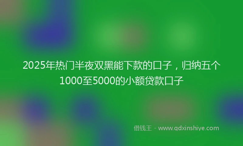2025年热门半夜双黑能下款的口子，归纳五个1000至5000的小额贷款口子